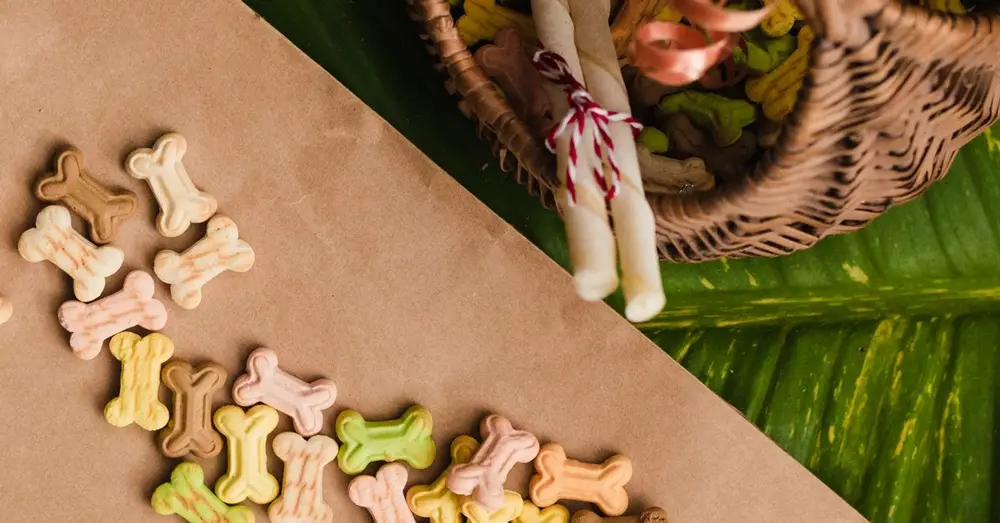 A flat lay of colorful dog bone treats scattered from a woven basket on a leaf surface.