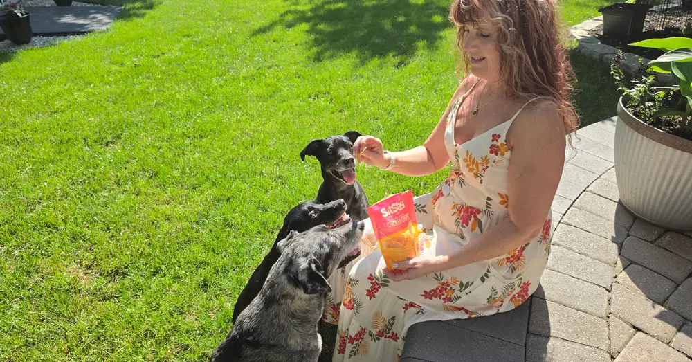 Jodi rewards her dogs with a single-ingredient chicken chip in the backyard