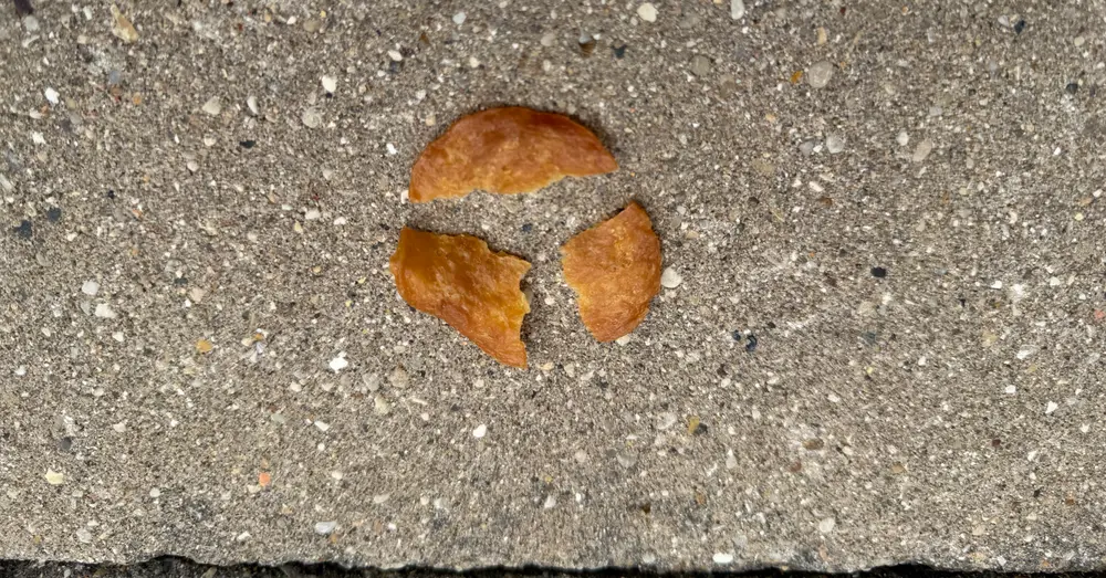 A chicken chip broken into smaller, pocket-size pieces