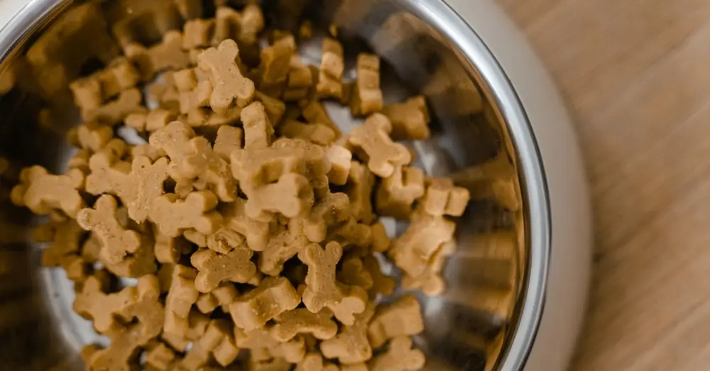 A close-up view of dog bone-shaped biscuits in a stainless steel bowl on a wooden surface.